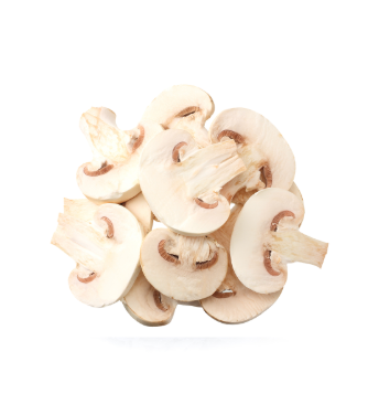 Sliced Mushroom
