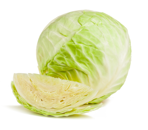Shredded Green Cabbage