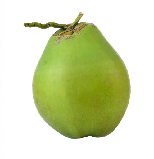 Coconut