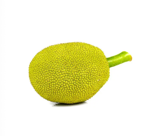 Jackfruit