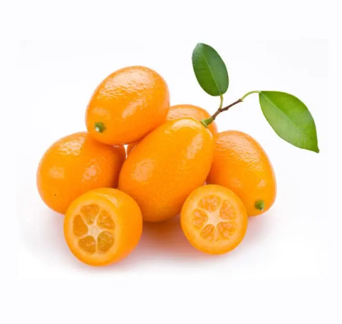 Kumquat